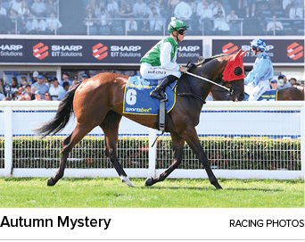 Autumn Mystery racing photo