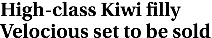 High class Kiwi filly Velocious set to be sold