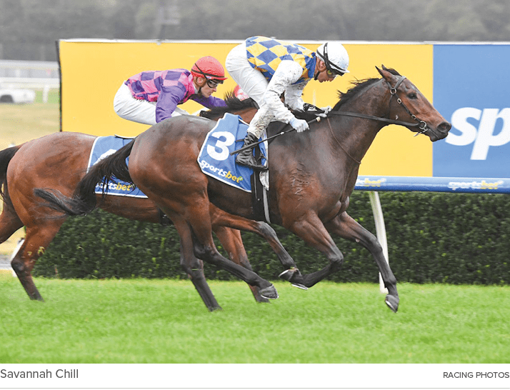 Savannah Chill Racing Photo