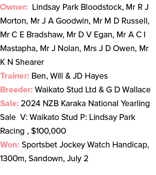 Owner: Lindsay Park Bloodstock, Mr R J Morton, Mr J A Goodwin, Mr M D Russell, Mr C E Bradshaw, Mr D V Egan, Mr A C I...