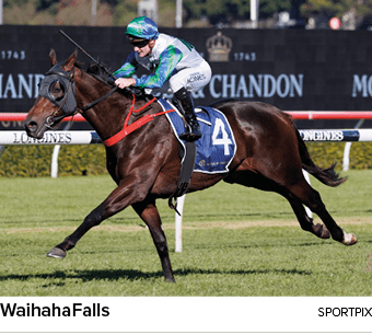 WaihahaFalls sportpi