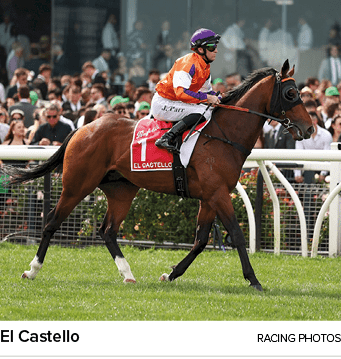 El Castello racing photo