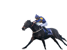 Munhamek (GB) ridden by Jamie Mott wins the VRC-CRV Winter Championship Series Final at Flemington Racecourse on July 06, 2024 in Flemington, Australia. (Photo by Brett Holburt/Racing Photos)