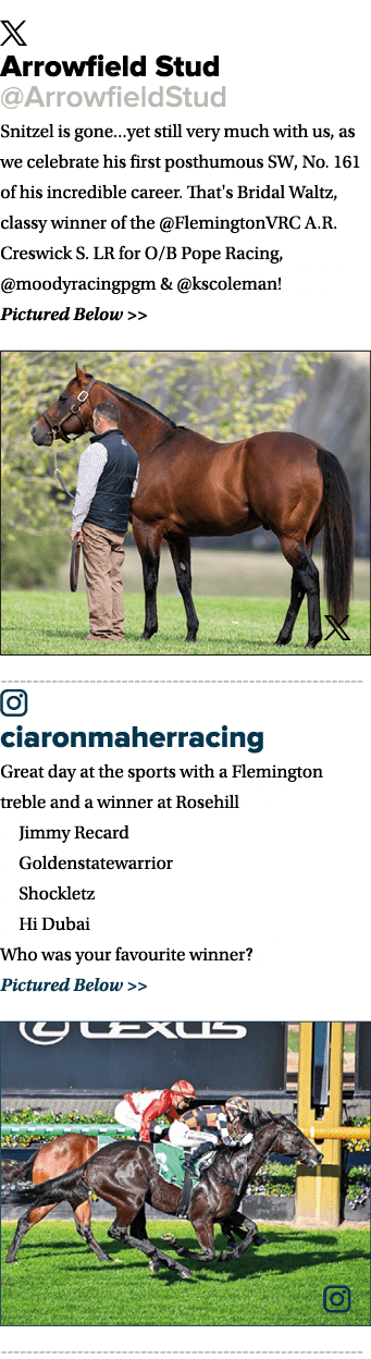 ￼ Arrowfield Stud @ArrowfieldStud Snitzel is gone...yet still very much with us, as we celebrate his first posthumous...