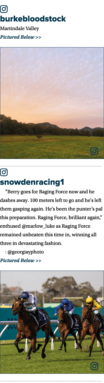 ￼ burkebloodstock Martindale Valley 💛 Pictured Below   ￼ ￼ snowdenracing1 🔉“Berry goes for Raging Force now and he...