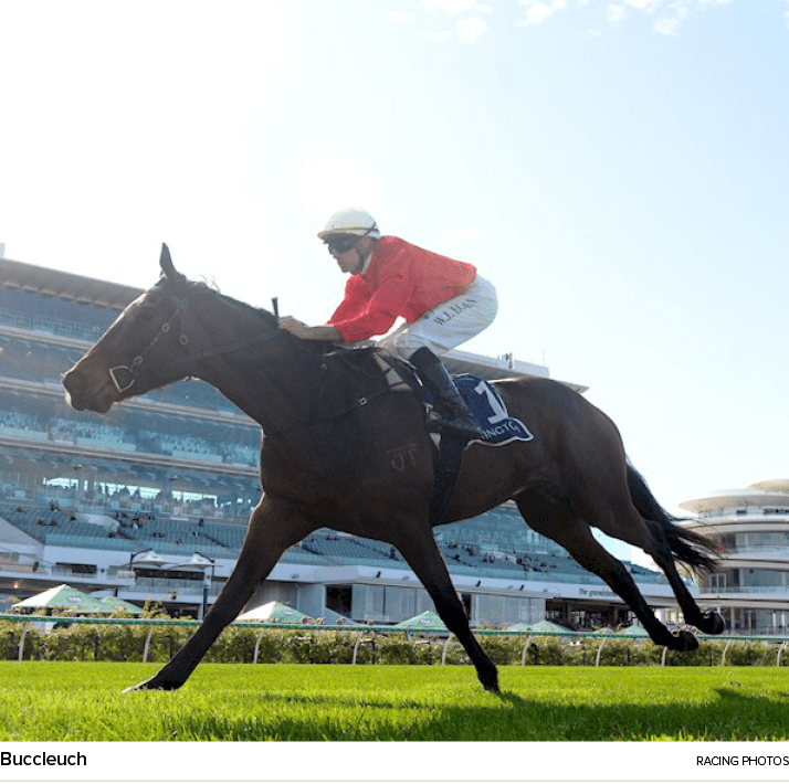 Buccleuch racing photo