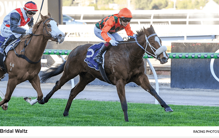 Bridal Waltz racing photo