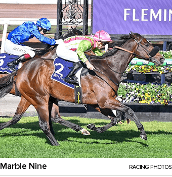 Marble Nine racing photo