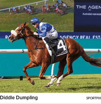 Diddle Dumpling sportpi