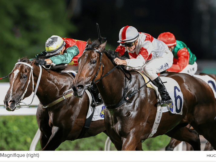 Magnifique (right) HKJ