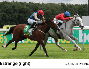 Estrange (right) Grossick Racin