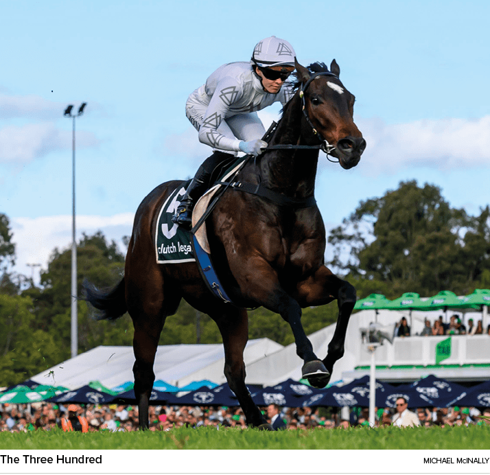 The Three Hundred Michael McInall