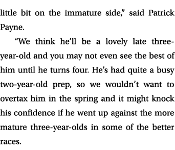 little bit on the immature side,” said Patrick Payne. “We think he’ll be a lovely late three year old and you may not...