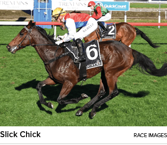 Slick Chick race image