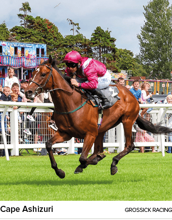 Cape Ashizuri Grossick Racin