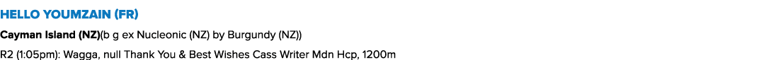 Hello Youmzain (FR) Cayman Island (NZ)(b g ex Nucleonic (NZ) by Burgundy (NZ)) R2 (1:05pm): Wagga, null Thank You & B...