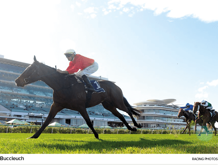 Buccleuch Racing Photo