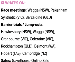 ￼ What's on: Race meetings: Wagga (NSW), Pakenham Synthetic (VIC), Barcaldine (QLD) Barrier trials / Jump outs: Hawke...