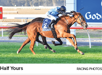 Half Yours racing photo