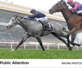 Public Attention racing photo