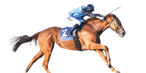 Half Yours ridden by Harry Coffey wins the GD & SL O'Sullivan Builders BM64 Handicap at Seymour Racecourse on April 15, 2025 in Seymour, Australia. (Photo by Pat Scala/Racing Photos)