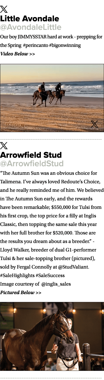 ￼ Little Avondale @AvondaleLittle Our boy JIMMYSSTAR hard at work prepping for the Spring #perincanto #bigonwinning V...