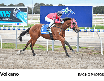 Volkano racing photo