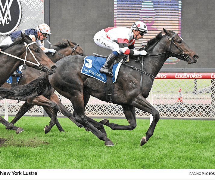 New York Lustre racing photo