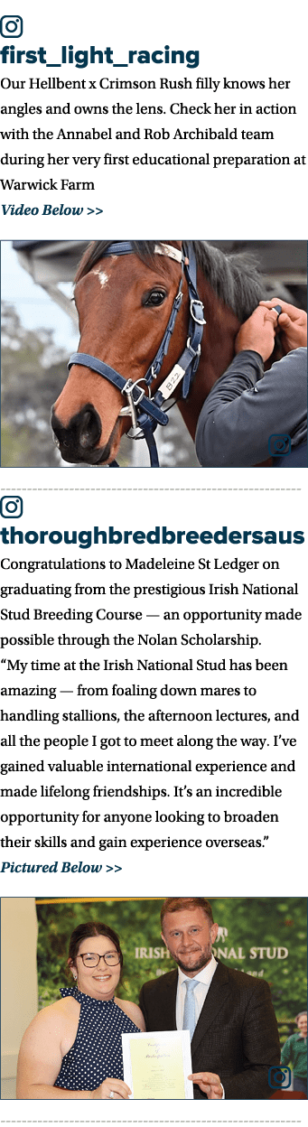 ￼ first_light_racing Our Hellbent x Crimson Rush filly knows her angles and owns the lens. Check her in action with t...