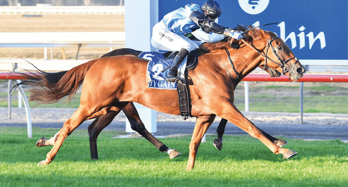 Half Yours ridden by Harry Coffey wins the GD & SL O'Sullivan Builders BM64 Handicap at Seymour Racecourse on April 15, 2025 in Seymour, Australia. (Photo by Pat Scala/Racing Photos)