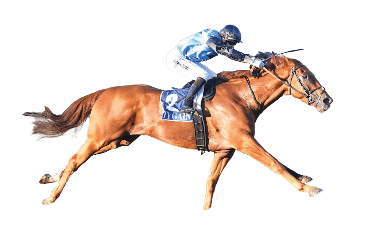 Half Yours ridden by Harry Coffey wins the GD & SL O'Sullivan Builders BM64 Handicap at Seymour Racecourse on April 15, 2025 in Seymour, Australia. (Photo by Pat Scala/Racing Photos)