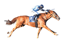 Half Yours ridden by Harry Coffey wins the GD & SL O'Sullivan Builders BM64 Handicap at Seymour Racecourse on April 15, 2025 in Seymour, Australia. (Photo by Pat Scala/Racing Photos)