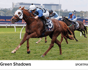 Green Shadows sportpi