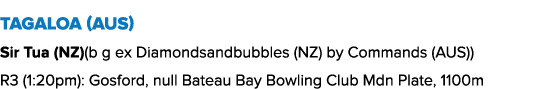 Tagaloa (AUS) Sir Tua (NZ)(b g ex Diamondsandbubbles (NZ) by Commands (AUS)) R3 (1:20pm): Gosford, null Bateau Bay Bo...