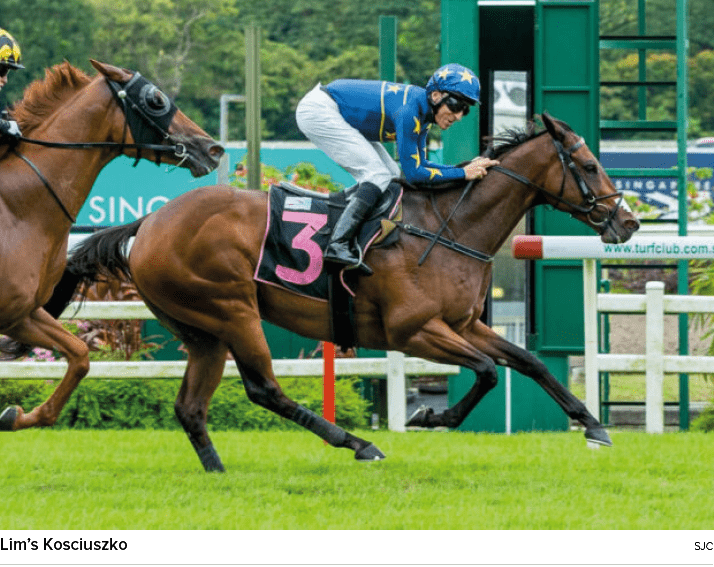 Lim’s Kosciuszko SJ