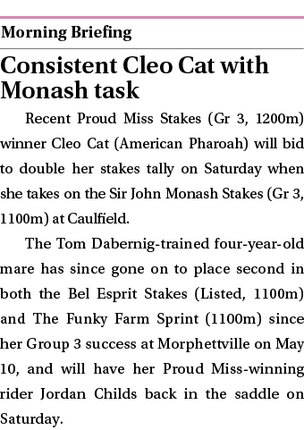  ￼ Consistent Cleo Cat with Monash task Recent Proud Miss Stakes (Gr 3, 1200m) winner Cleo Cat (American Pharoah) wil...