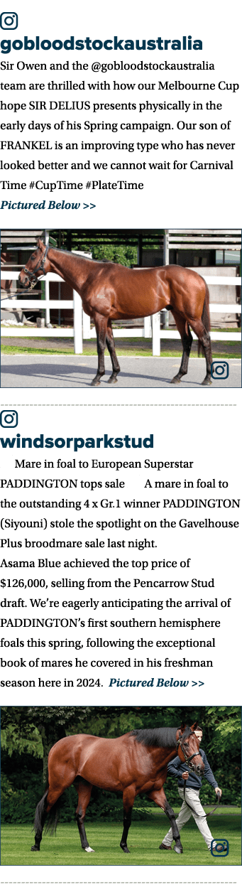 ￼ gobloodstockaustralia Sir Owen and the @gobloodstockaustralia team are thrilled with how our Melbourne Cup hope SIR...