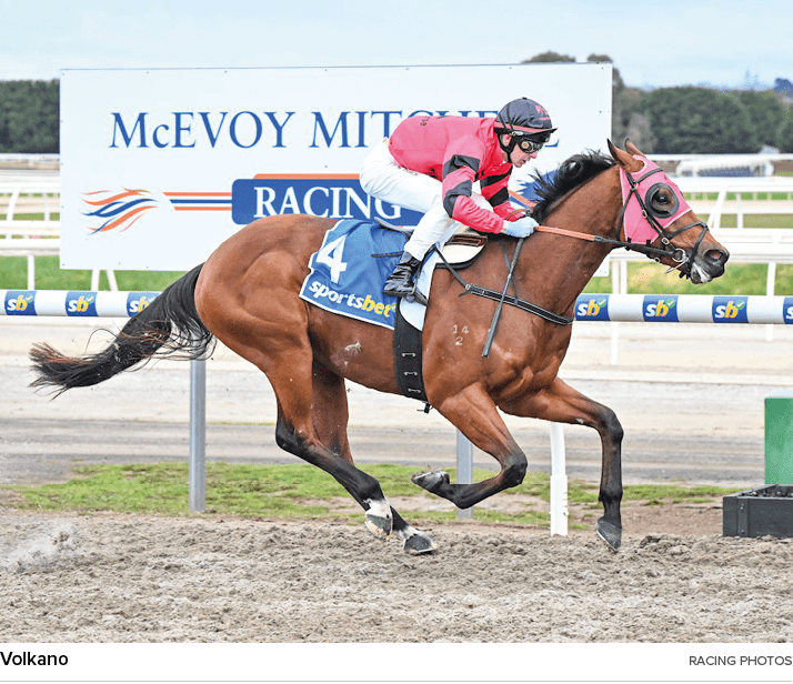 Volkano racing photo