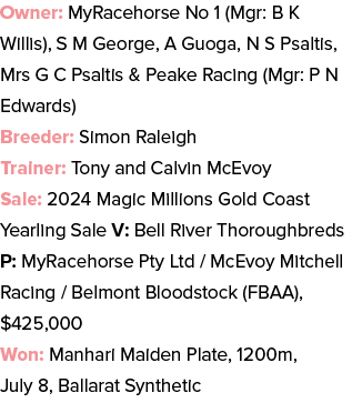 Owner: MyRacehorse No 1 (Mgr: B K Willis), S M George, A Guoga, N S Psaltis, Mrs G C Psaltis & Peake Racing (Mgr: P N...