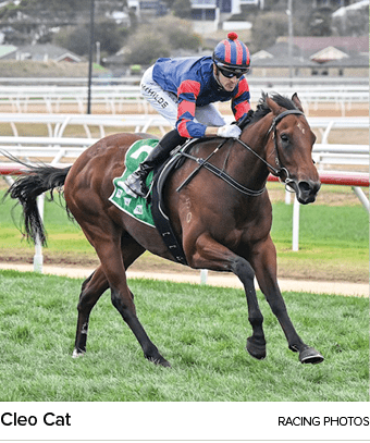 Cleo Cat racing photo