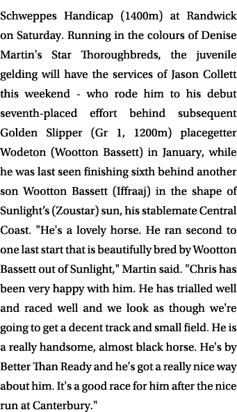 Schweppes Handicap (1400m) at Randwick on Saturday. Running in the colours of Denise Martin's Star Thoroughbreds, the...