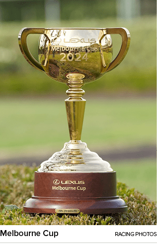 Melbourne Cup racing photo