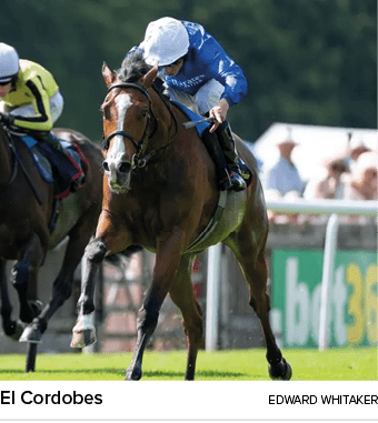 El Cordobes Edward Whitake