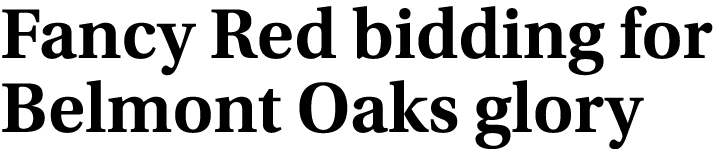 Fancy Red bidding for Belmont Oaks glory