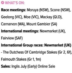 ￼ What's on: Race meetings: Moruya (NSW), Scone (NSW), Geelong (VIC), Moe (VIC), Mackay (QLD), Carnarvon (WA), Mount ...