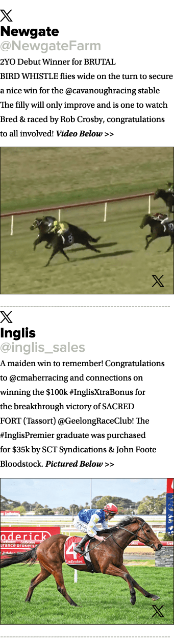 ￼ Newgate @NewgateFarm 2YO Debut Winner for BRUTAL BIRD WHISTLE flies wide on the turn to secure a nice win for the @...
