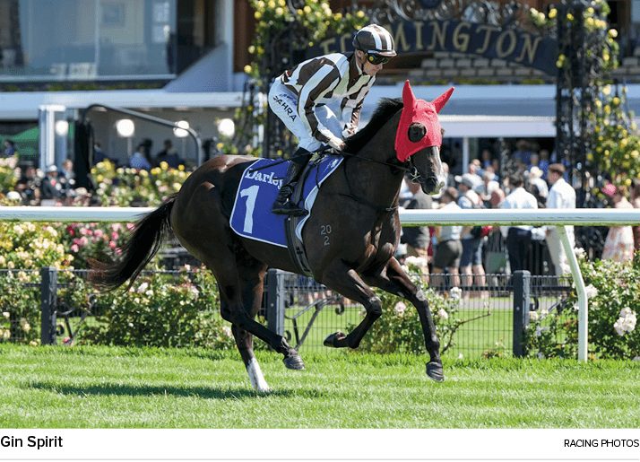 Gin Spirit Racing photo