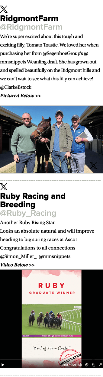 ￼ RidgmontFarm @RidgmontFarm We’re super excited about this tough and exciting filly, Tomato Toastie. We loved her wh...