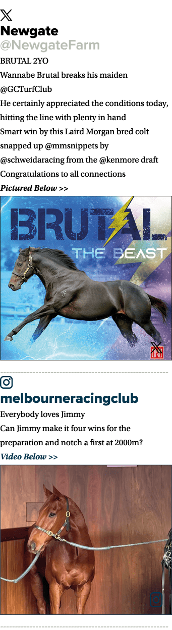 ￼ Newgate @NewgateFarm BRUTAL 2YO Wannabe Brutal breaks his maiden @GCTurfClub He certainly appreciated the condition...