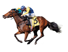 Tomato Toastie (Regan Bayliss, outside, yellow sleeves) wins at Randwick on July, 12, 2025 - photo by Martin King/Sportpix copyright